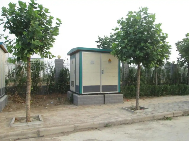 定远1000KVA欧式箱式变压器